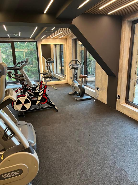 Fitness centrum a/nebo fitness zařízení v ubytování Rtanj Kopaonik Eco Resort & Spa