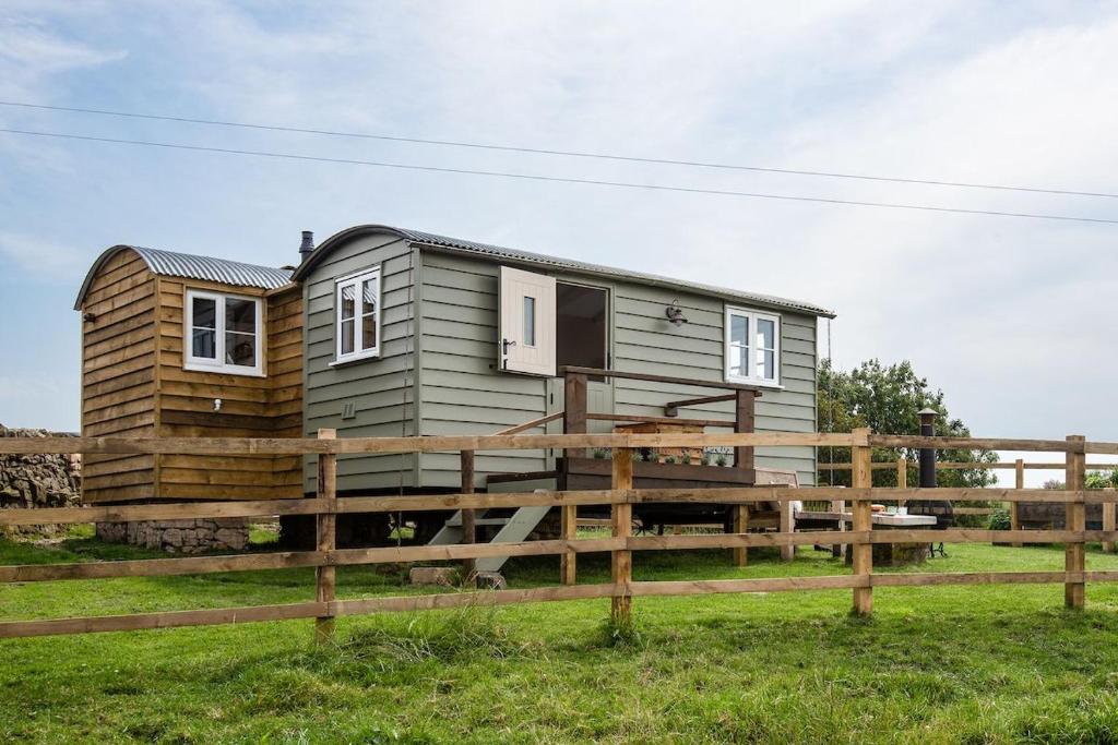 Wagtail, Greenhead Updated 2024 Prices