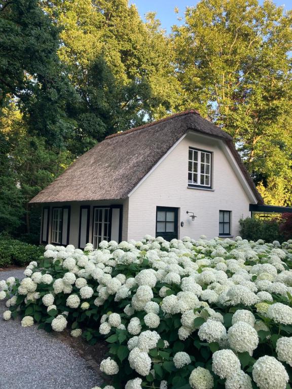 Schilde Cottage - Haus Mit Einem Schlafzimmer