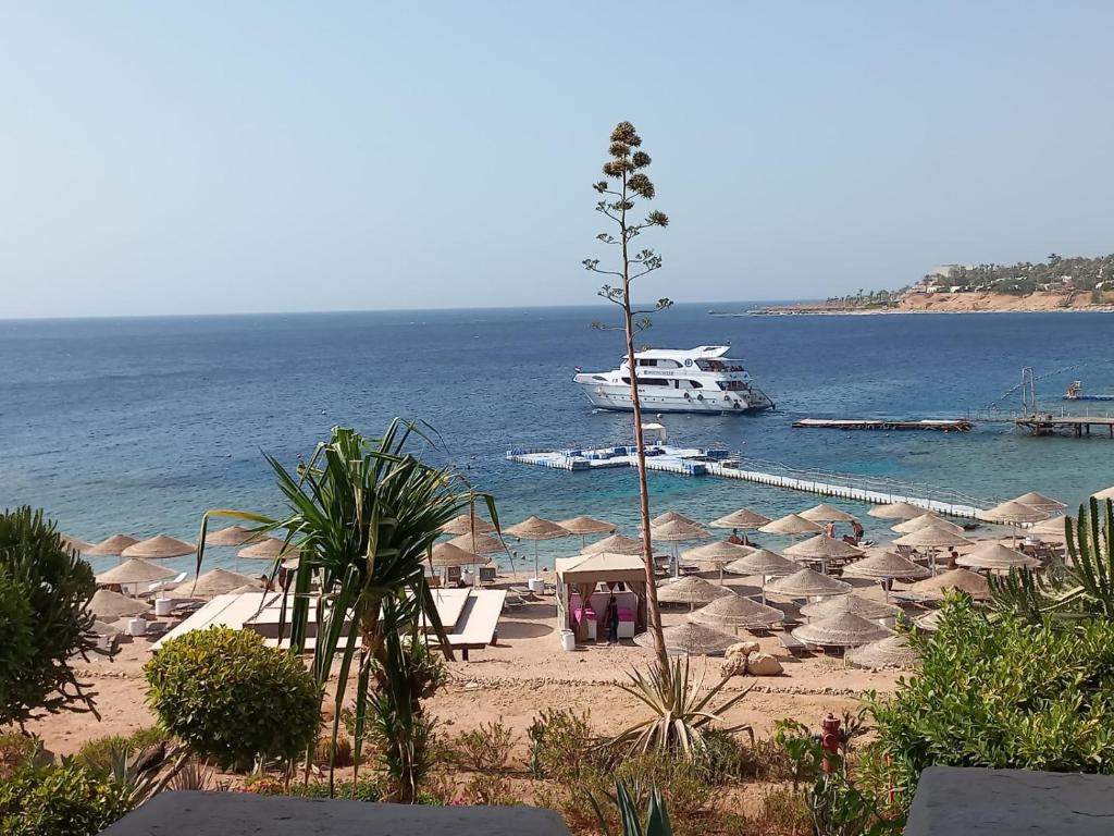 Luxory suite at Elisir SPA Domina Coral Bay, Sharm El Sheikh (updated