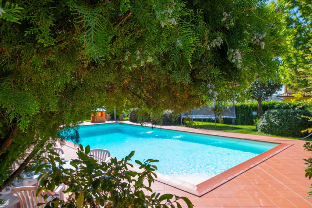 a large swimming pool with chairs and trees at Chalet di San Martino in San Martino in Colle