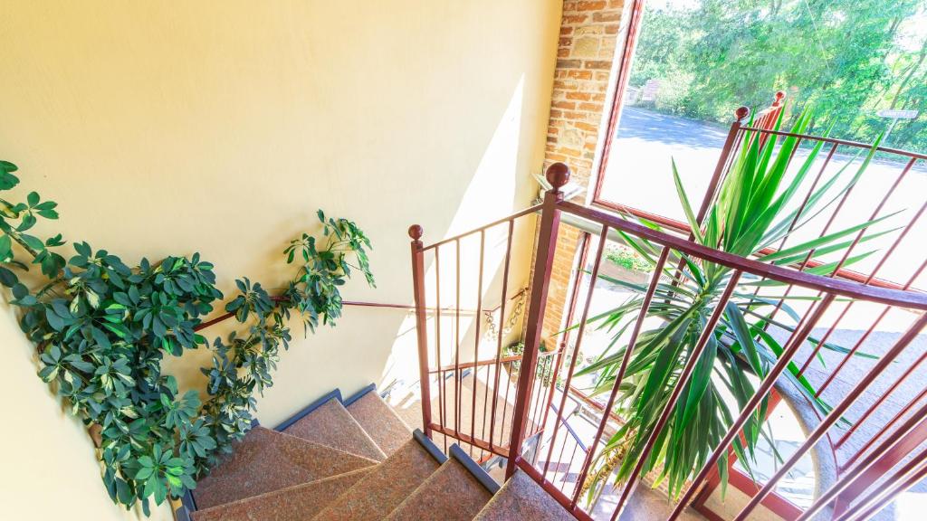 Balkón nebo terasa v ubytování Sogni di Langa