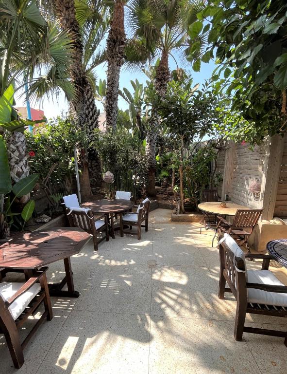 a patio with tables and chairs and palm trees at logis la marine in Sidi Ifni