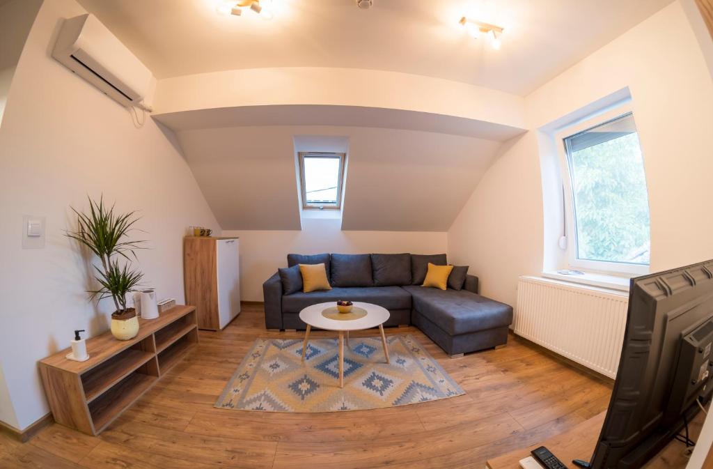 Petlov salaš rooms - Resim 9