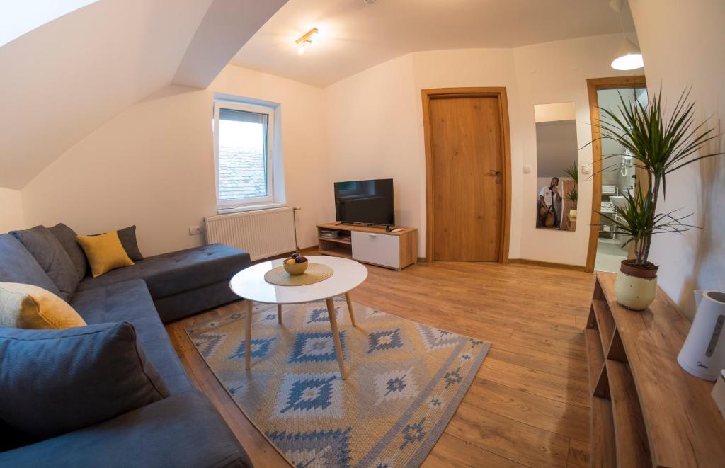 TV a/nebo společenská místnost v ubytování Petlov salaš rooms