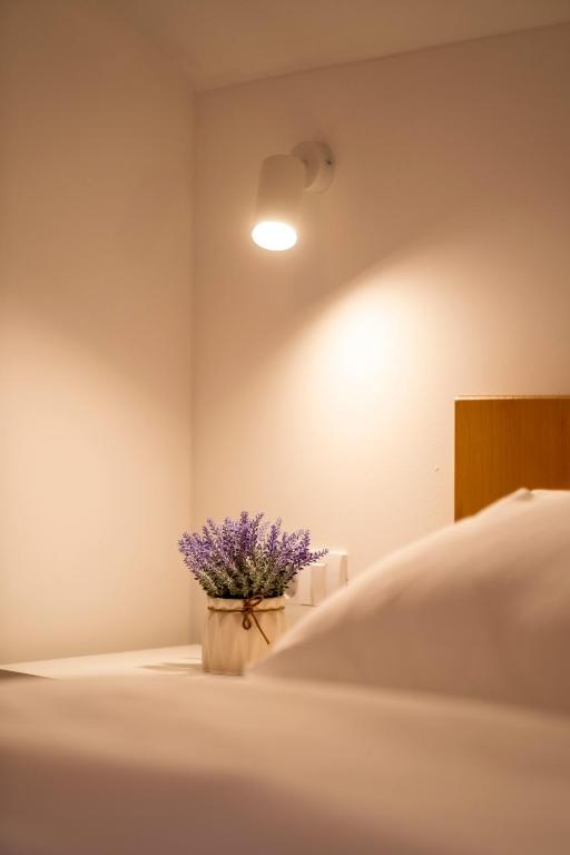 Petlov salaš rooms - Resim 16