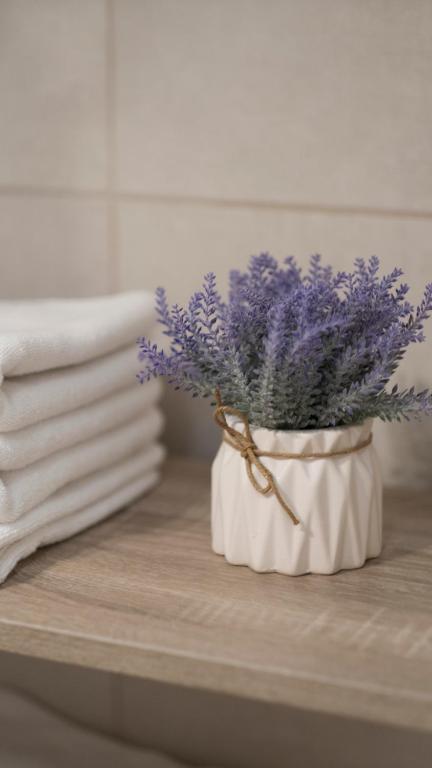 Petlov salaš rooms - Resim 3