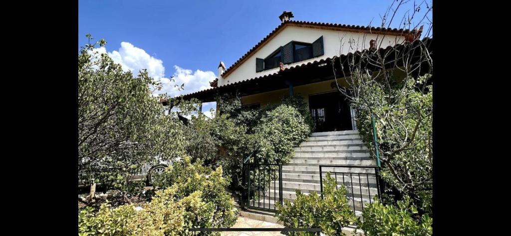 una casa con escaleras que conducen a una casa en Estate Tsiati - Κτήμα Τσιάτη, en Nauplia