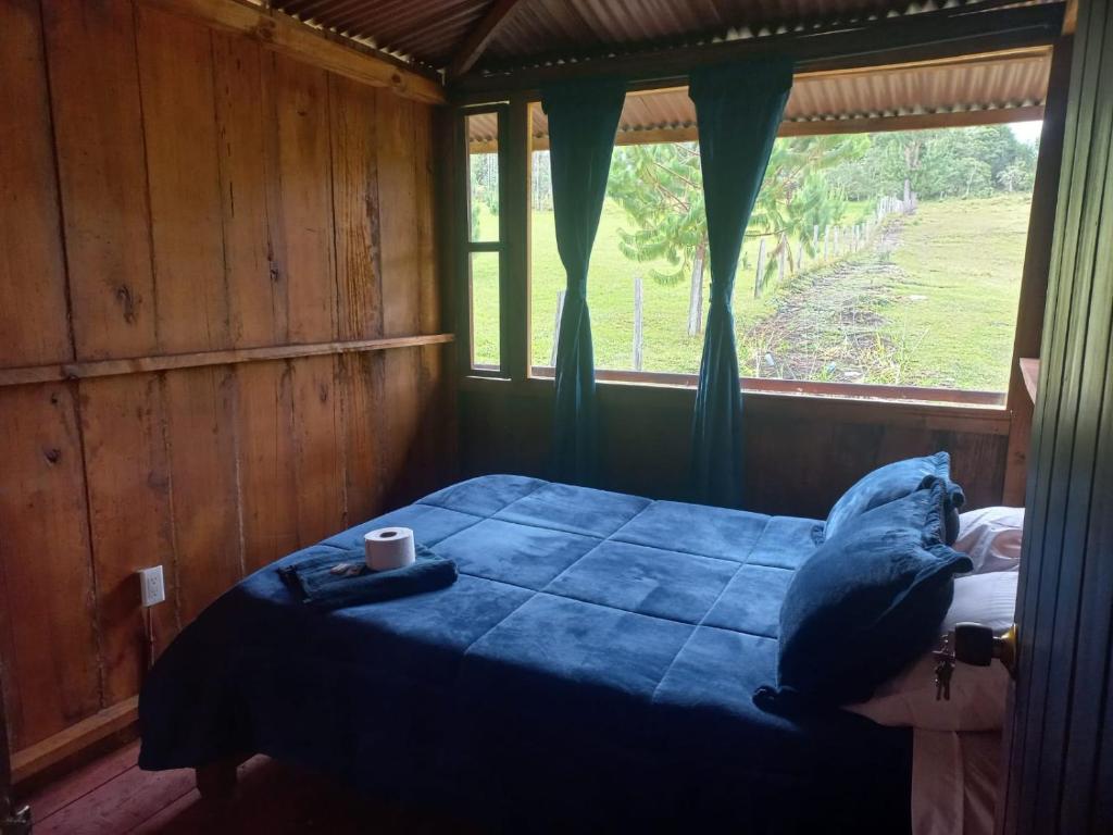 a bedroom with a blue bed and a window at glamping volvere san GabrieL 