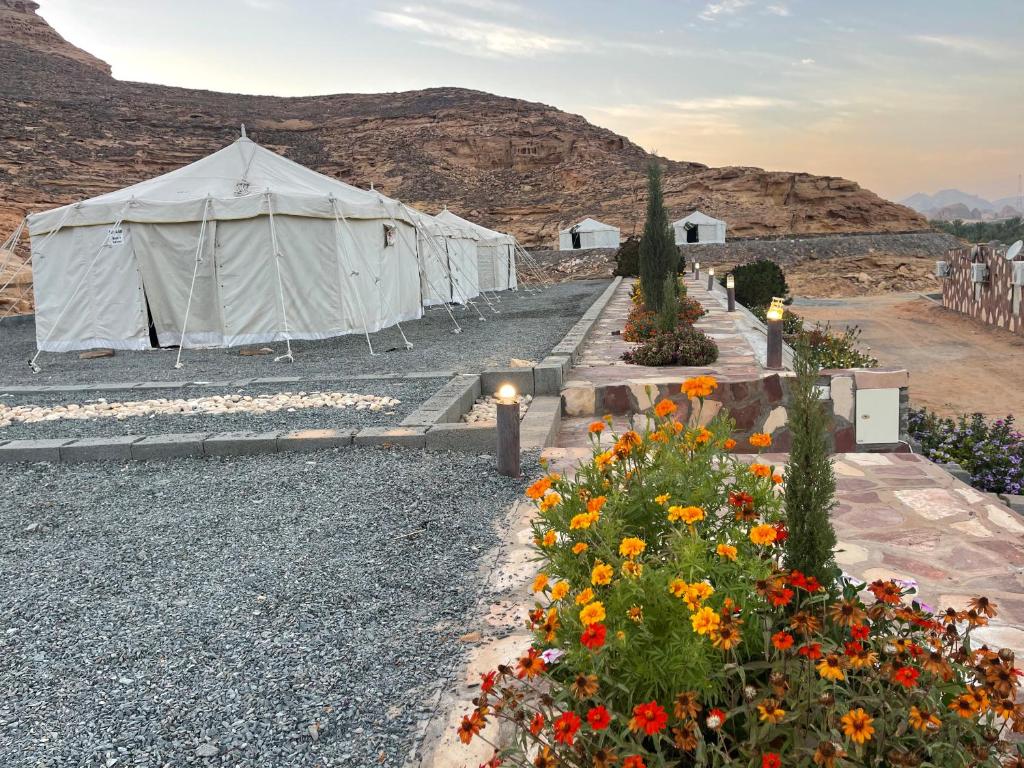 a group of white tents with flowers in the foreground at Rural tents Naseem الخيمةالريفيةAlouzaib in Al Ula