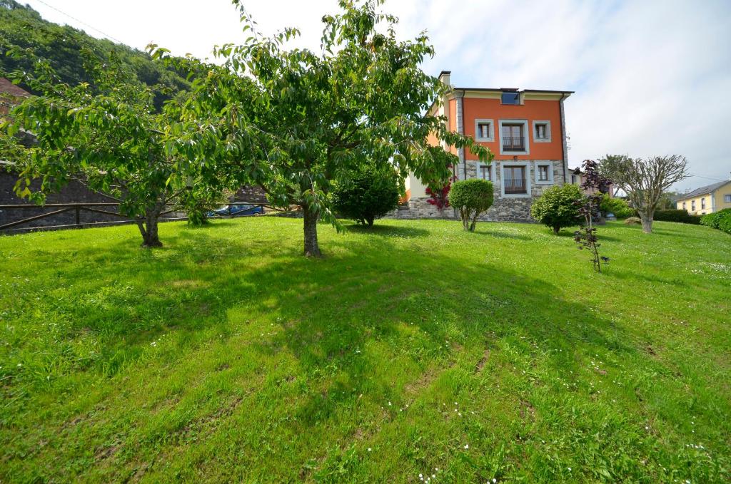 una casa en una colina con un árbol en un campo en A Casua, en Boal