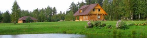 een houten huis in een veld naast een vijver bij Kalnakriknas in Dzimtmisa