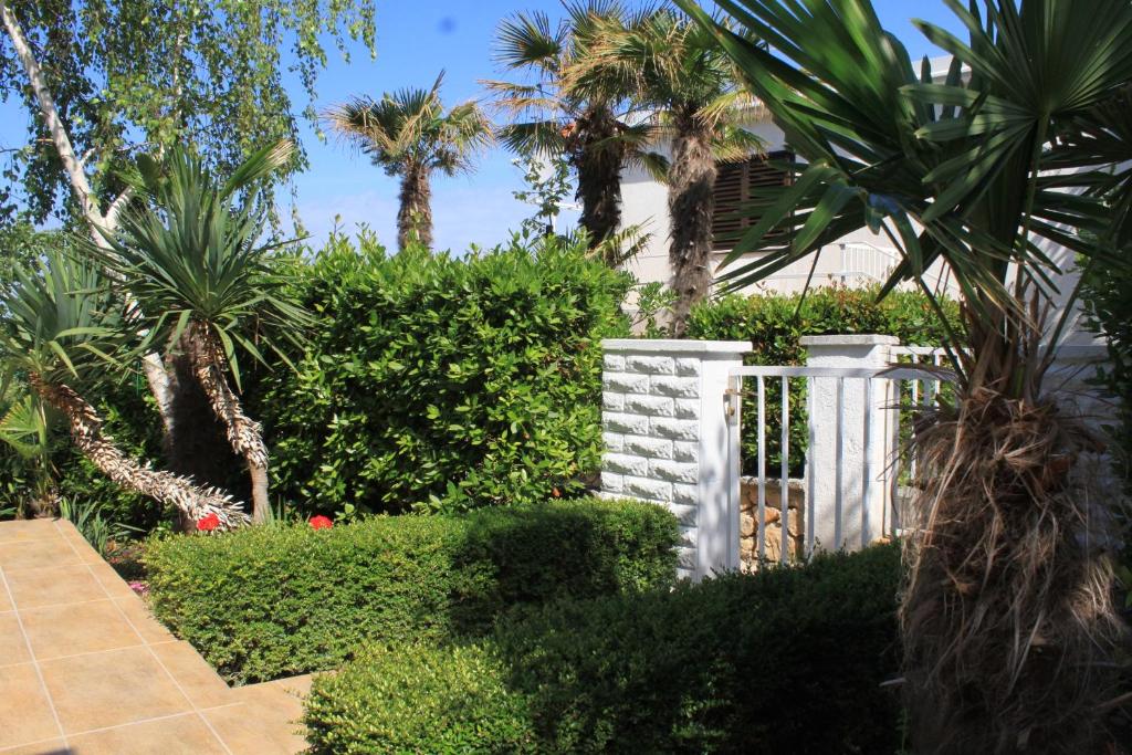 Fotografie z fotogalerie ubytování Apartments by the sea Cres - 7806 v destinaci Cres