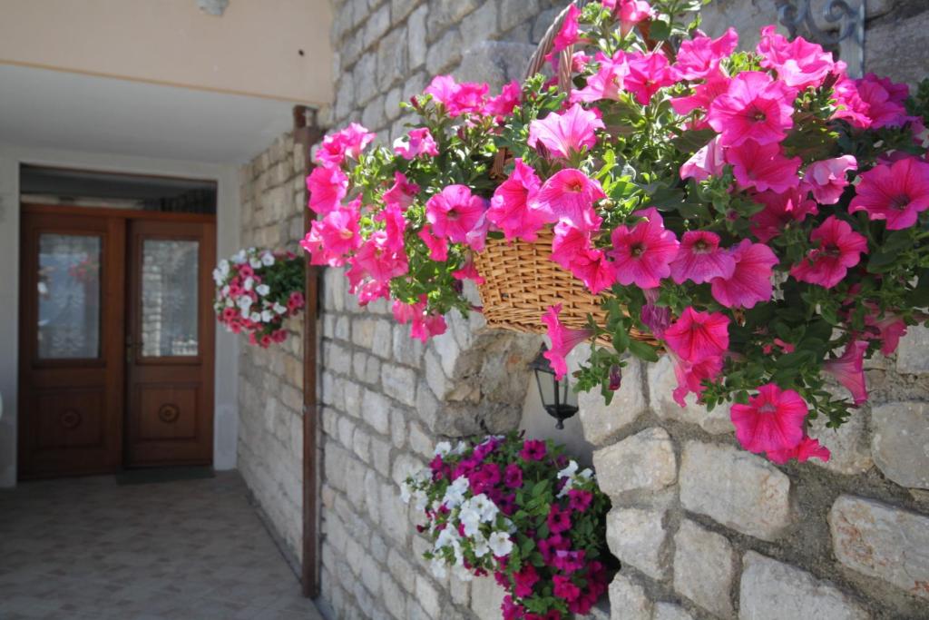 Fotografie z fotogalerie ubytování Apartments by the sea Osor, Losinj - 8088 v destinaci Nerezine