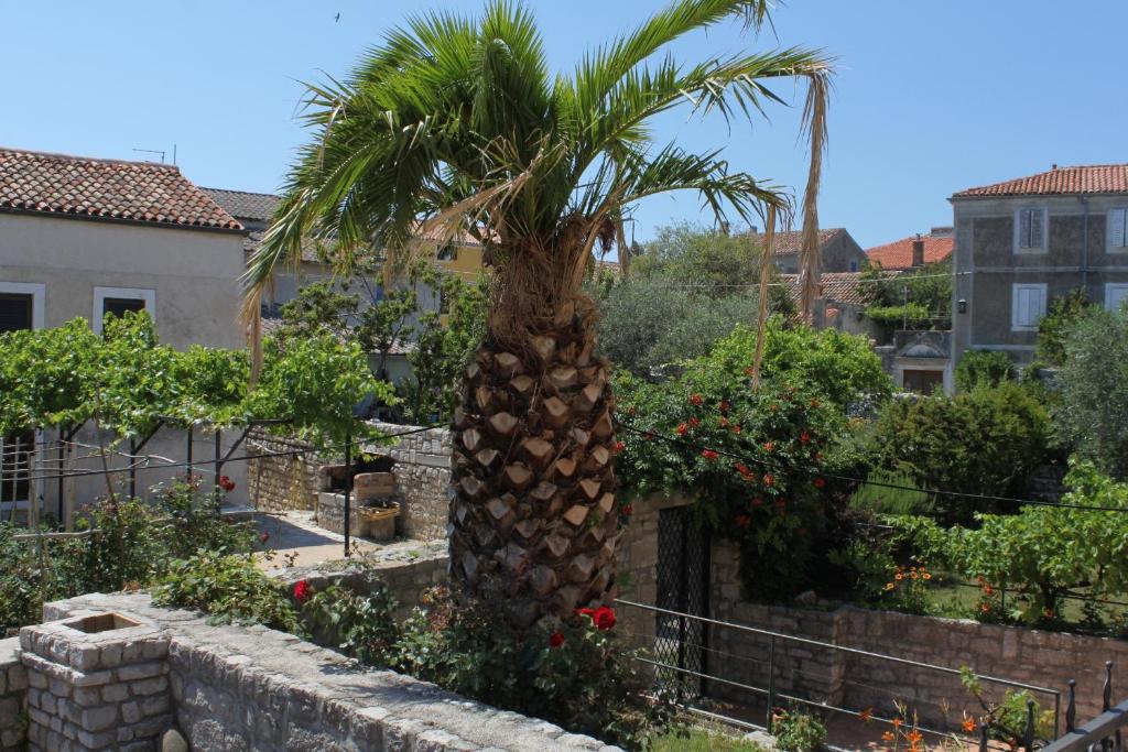 Zahrada ubytování Apartments by the sea Osor, Losinj - 8088
