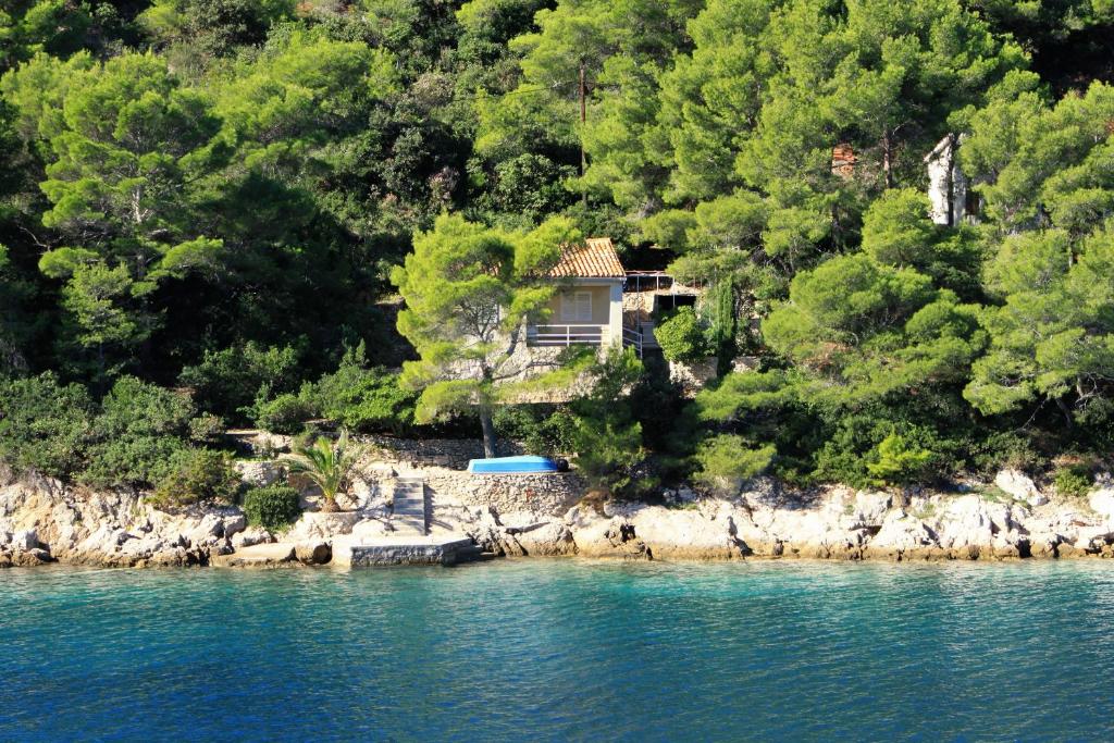 a house on the shore of a body of water at Secluded fisherman's cottage Cove Stoncica, Vis - 8894 in Kut