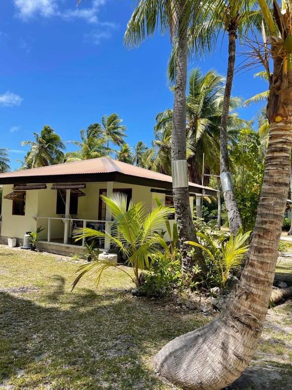 Rangiroa Guest Paradise, Avatoru - photo 6 - Rangiroa, Polynésie