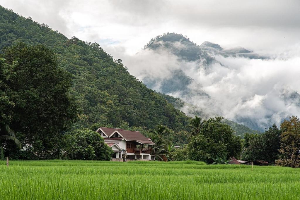 une maison dans un champ en face d'une montagne dans l'établissement Pimpa House, à Ban Hua Nam Mae Sakut