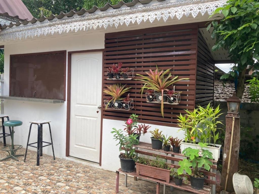 Zahrada ubytování Pimpa House พิมพาเฮาส์