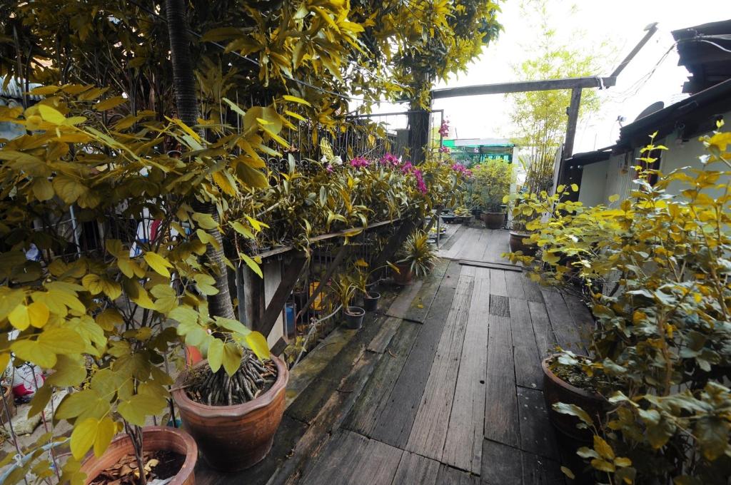 a greenhouse filled with potted plants on a wooden floor at Kaloang home in Bangkok