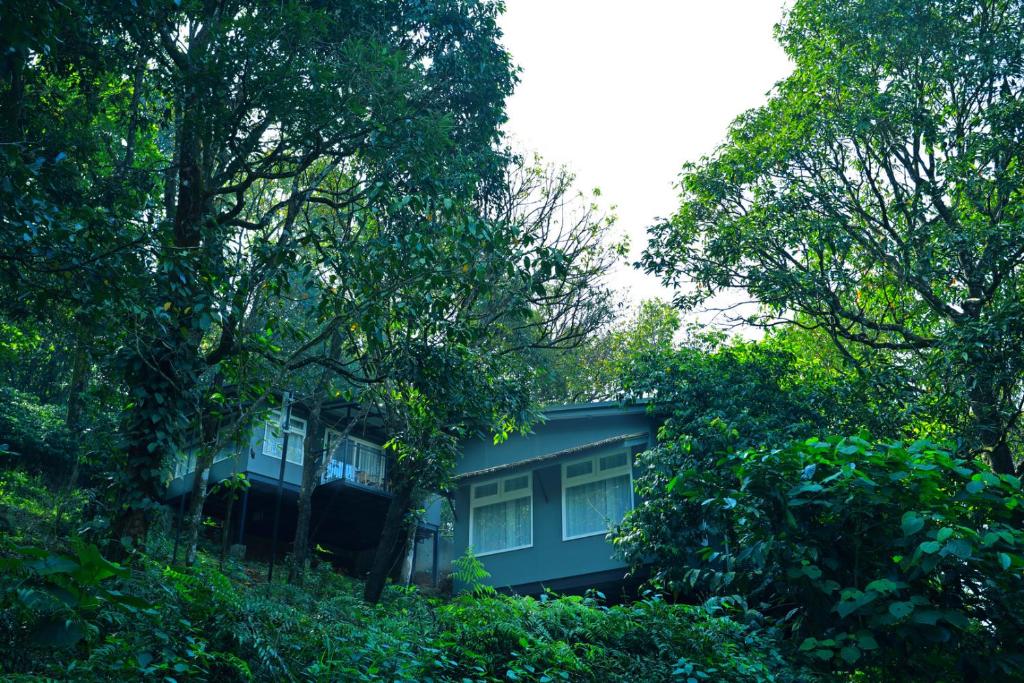 Zahrada ubytování Wayanad Wild - A CGH Earth Experience