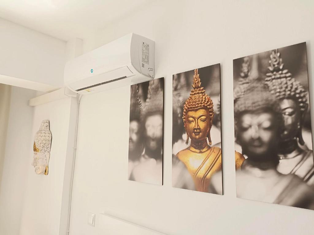 Buddha Smart estudio centro histórico de Málaga - 5