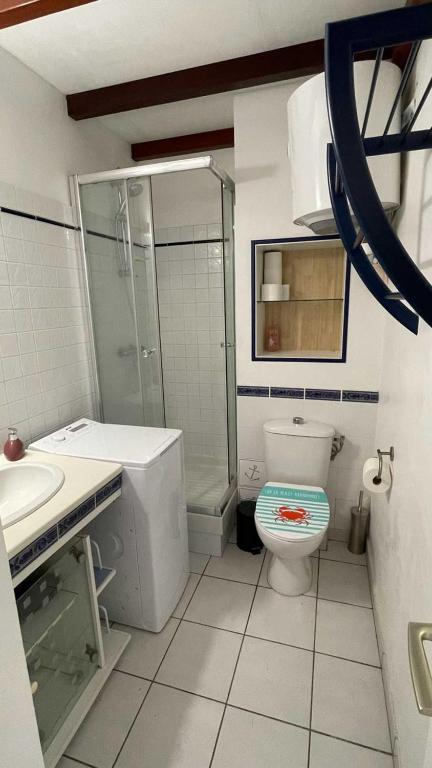 Koupelna v ubytování Appartement La Cannelle