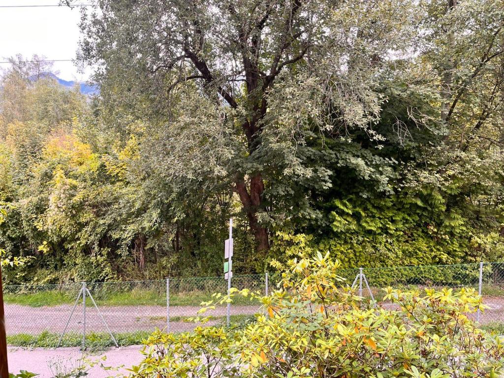 Vonkajšia záhrada v ubytovaní Haus Blang Einzelzimmer