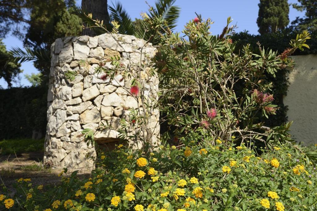 Een tuin van Residence Oasis