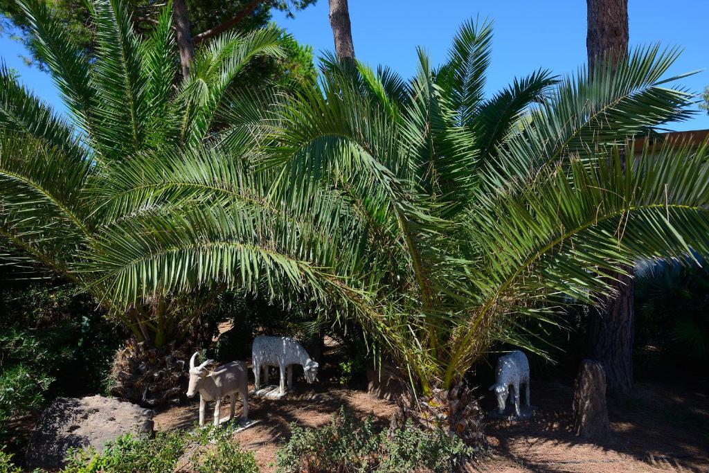 Een tuin van Residence Oasis