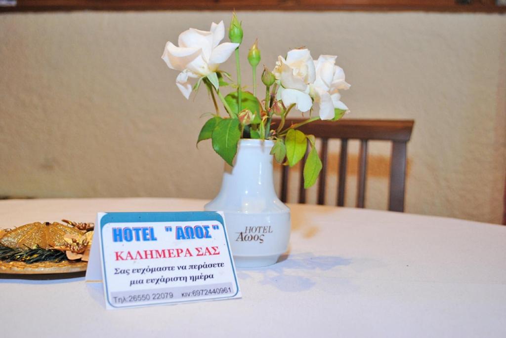 Fotografie z fotogalerie ubytování Hotel Aoos v destinaci Konitsa