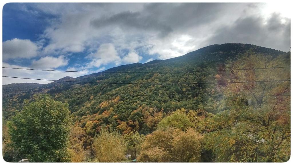 Příroda nedaleko apartmánu