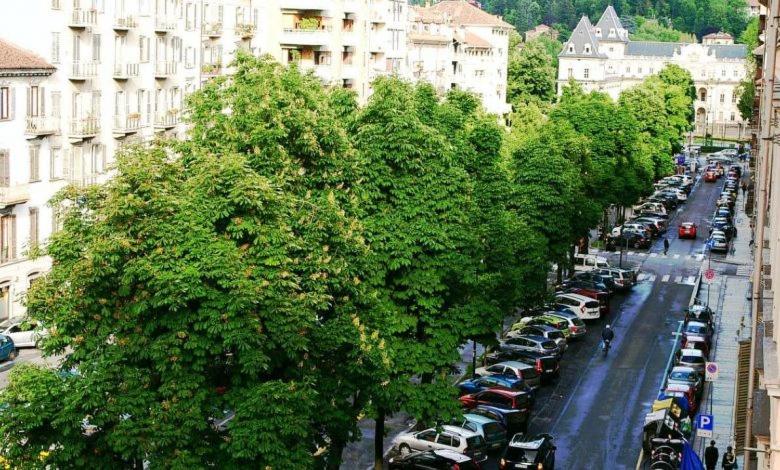 TORINO CENTRO - La Casa Di Zoe - Housity