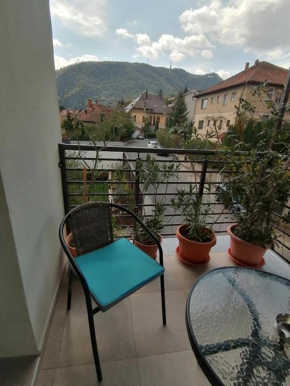 Casa Bologna - Family Room With Mountain View