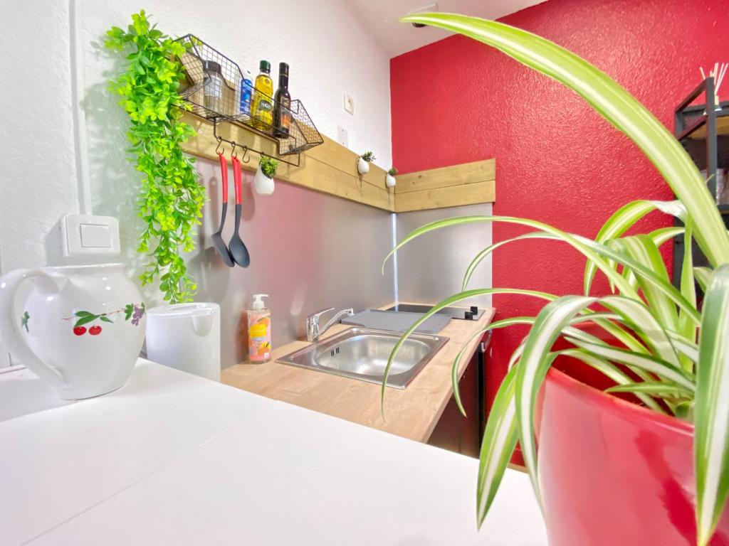 cocina con fregadero y pared roja en ~ le Terracotta ~ Studio 1/4 pers / Futuroscope, en Chasseneuil-du-Poitou