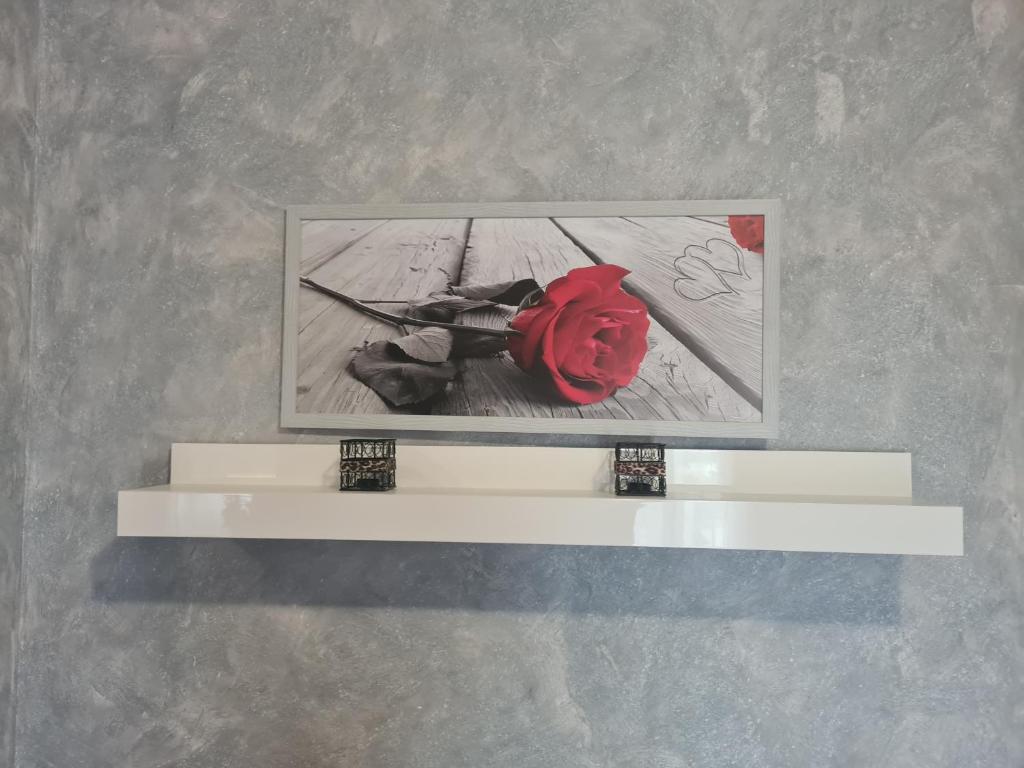 Fotografie z fotogalerie ubytování Petalo rosso v destinaci Pegognaga
