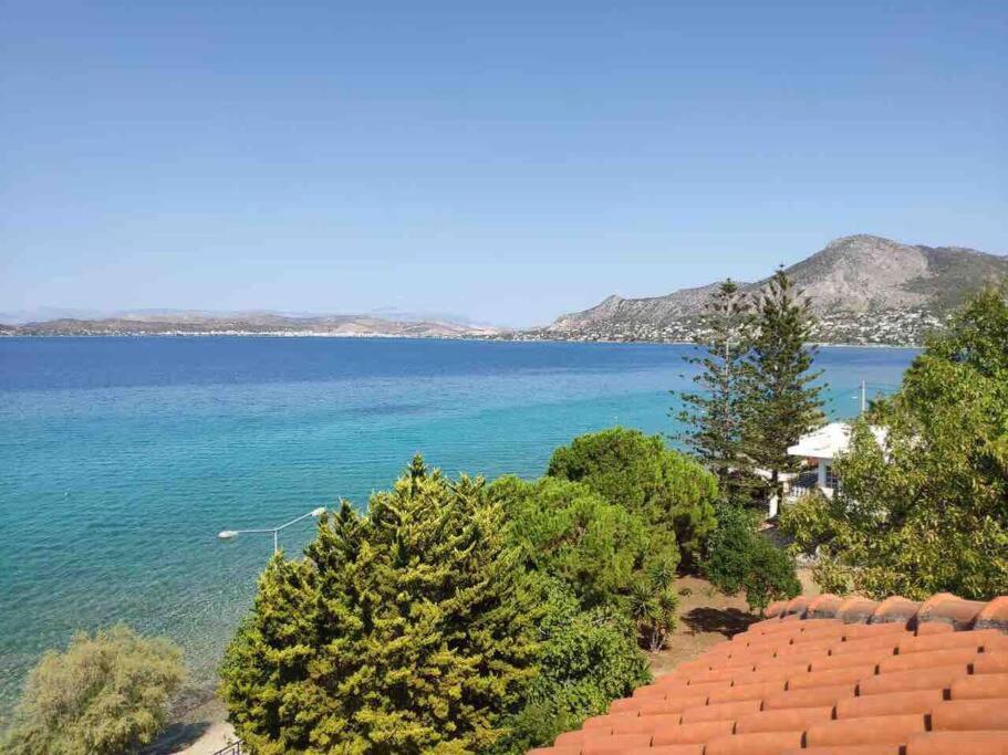 a view of a large body of water with trees at Sea view luxury apartment in Aiándion