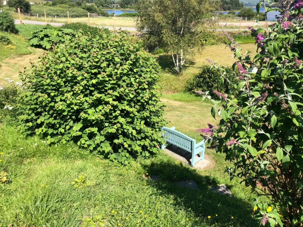 Zahrada ubytování Burnbank Glamping Pod