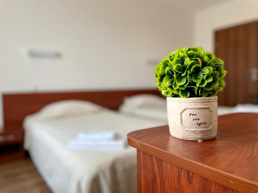 a potted plant sitting on a table in a bedroom at Хотел Лагуна in Dospat