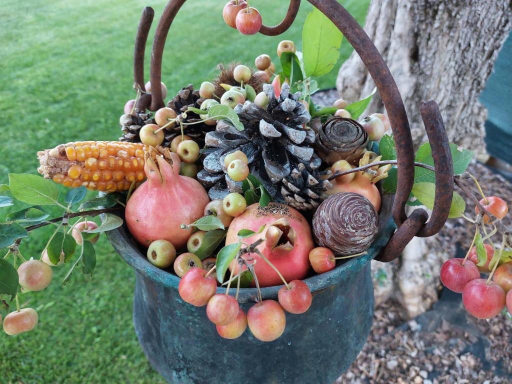 Zahrada ubytování CASA AUTUNNO