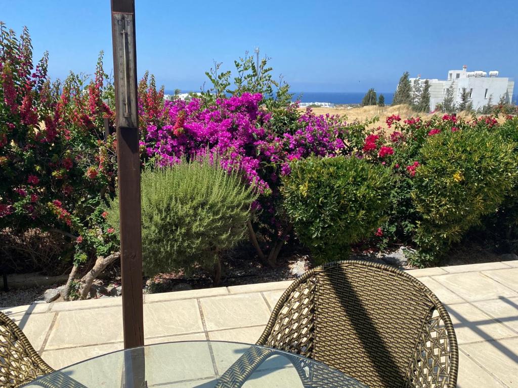 a glass table and chairs in front of flowers at Crystal Bay View Apartment in Kalogrea