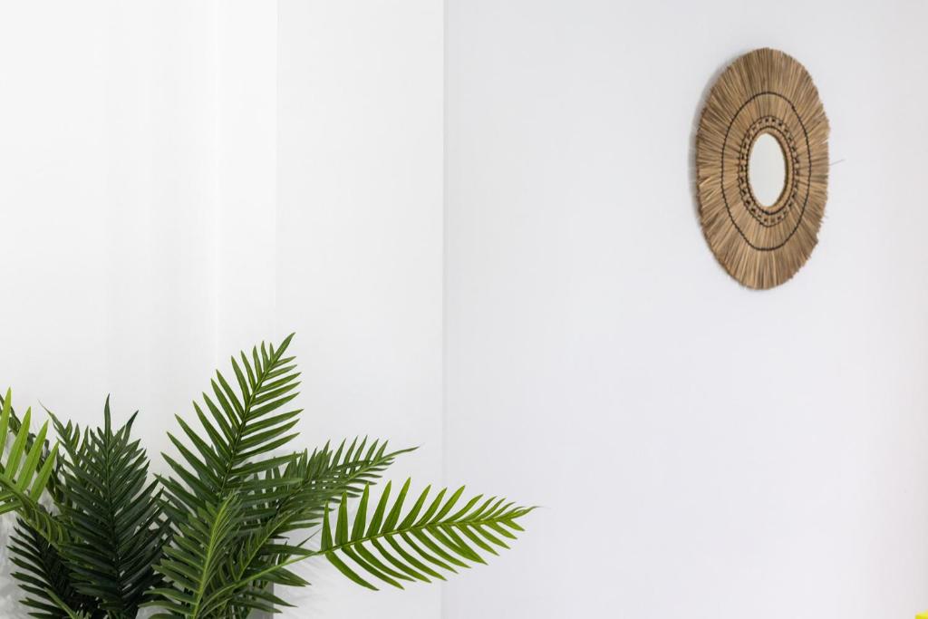 Grace Apartments - 3 bedroom City Centre - 18