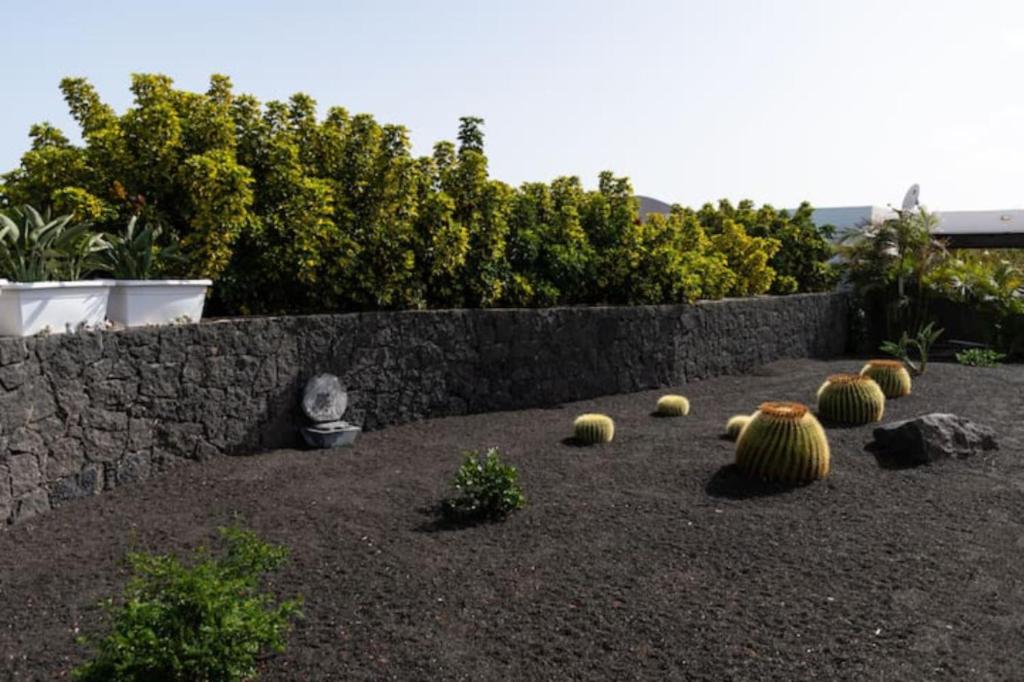 Vonkajšia záhrada v ubytovaní Timanfaya
