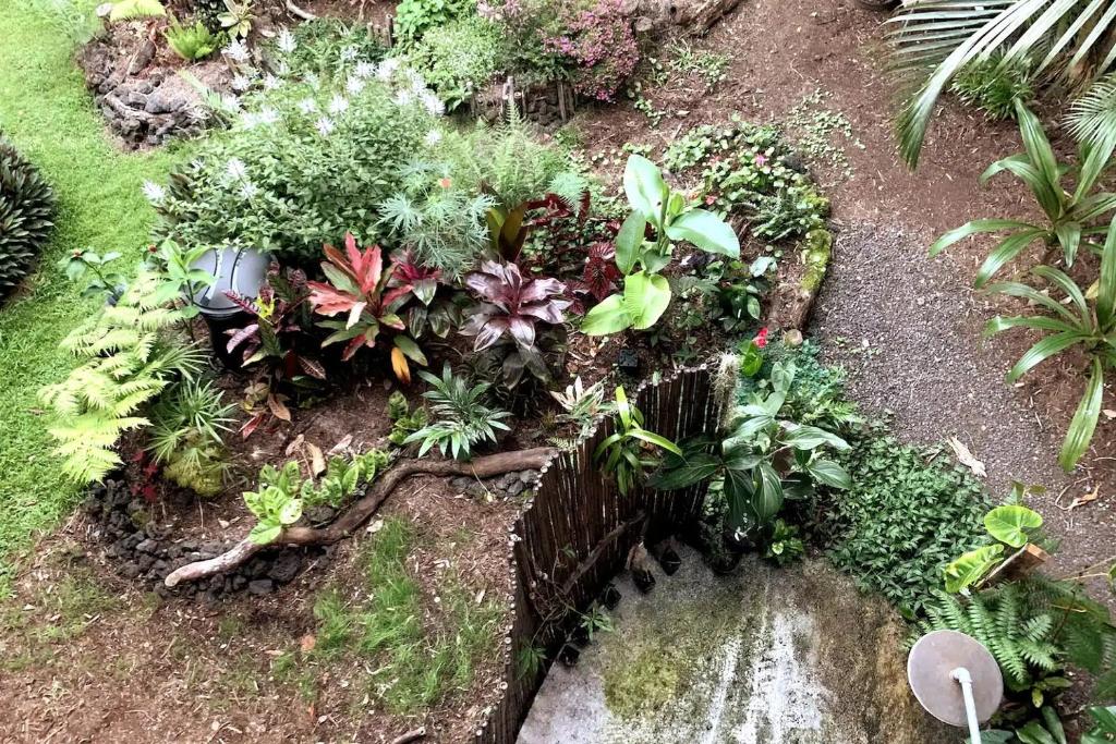 Zahrada ubytování Phoenix Garden