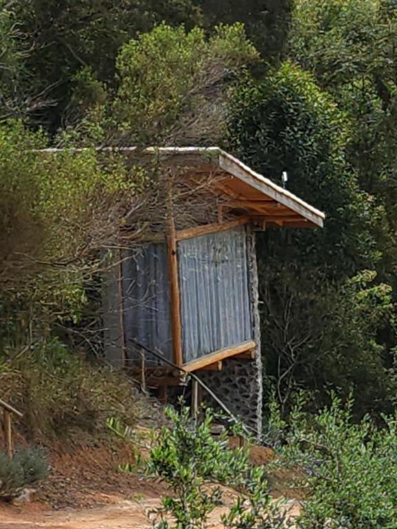 Tiny Houses O Olival - aluguel temporada - Villa