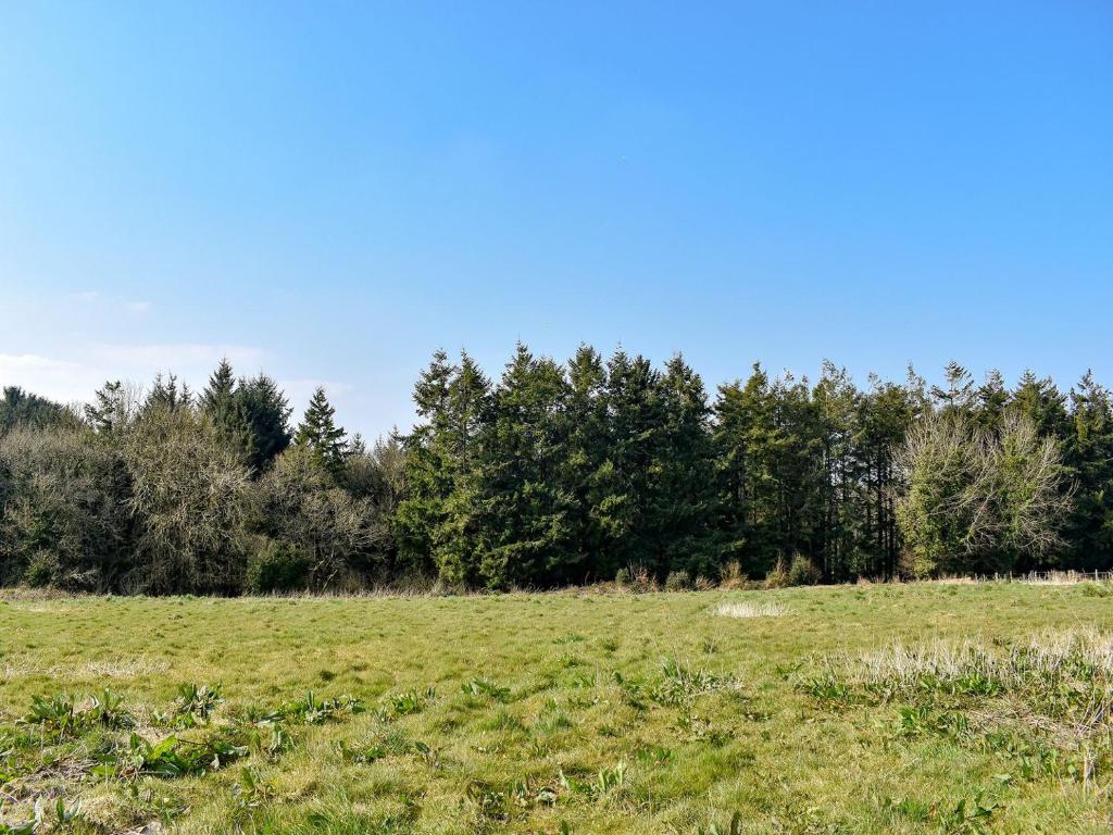 a field of grass with trees in the background at Old Highwood - Piggy In The Middle in Luppitt