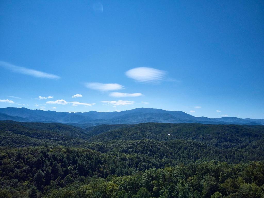 Gatlinburg Adventure Cabins - One-Bedroom Chalet