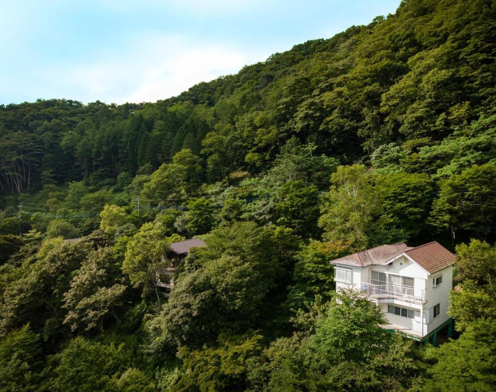 une maison au milieu d'une montagne dans l'établissement Kanra-gun - House / Vacation STAY 2833, à Karuizawa