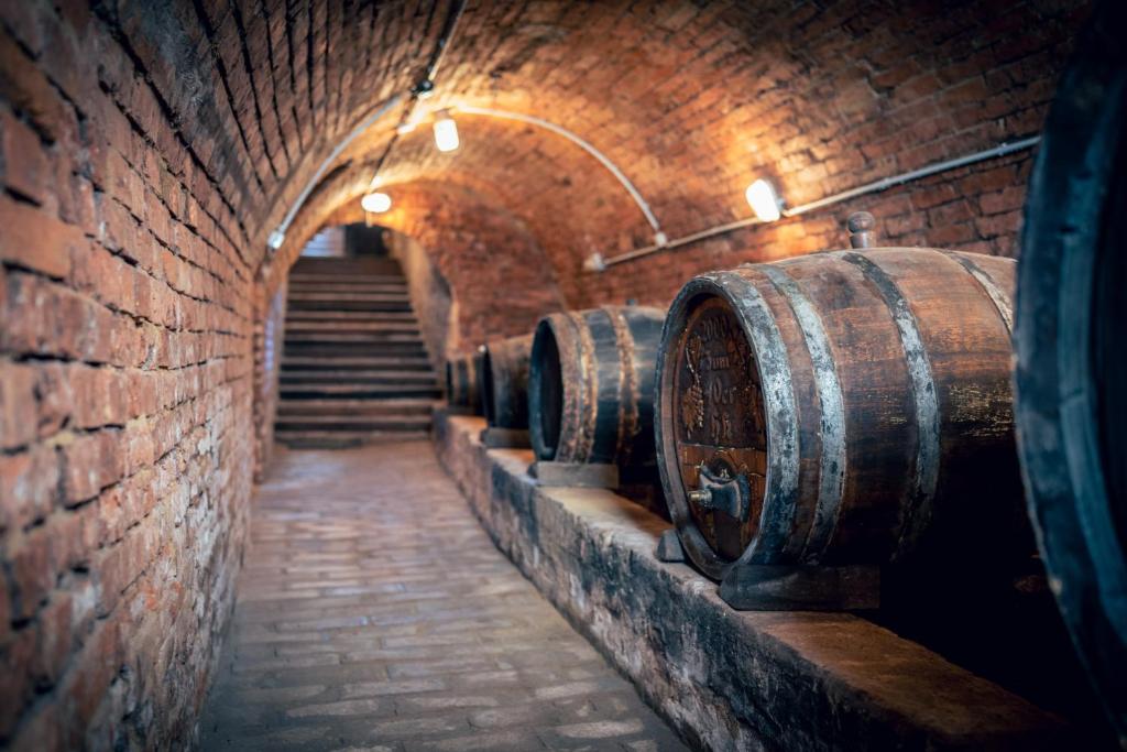 Fotografie z fotogalerie ubytování Winzerhof Küssler - Weinviertel v destinaci Stillfried