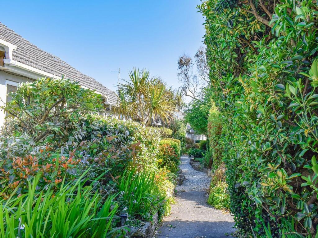 a path through a hedge in a yard at 20 Blackbird Cottage-uk38935 in Porthcurno